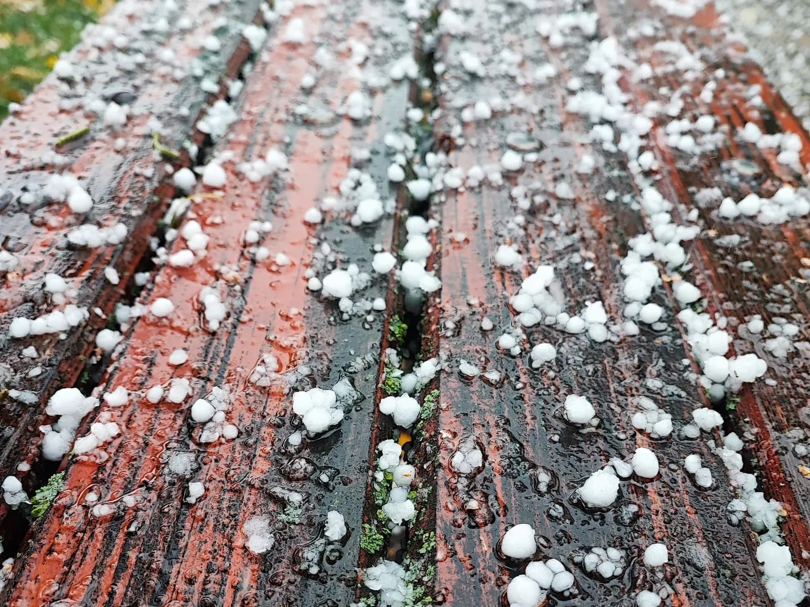 Hailstones scattered across a wet surface after a storm.