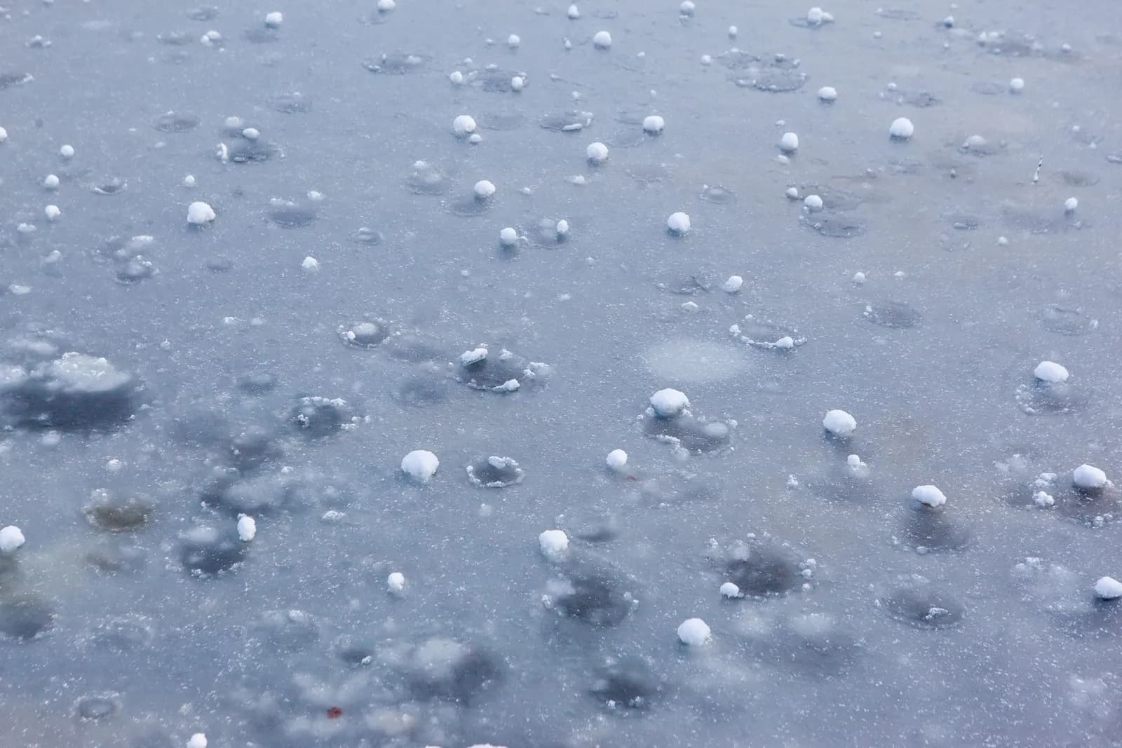 Hailstones melting on wet pavement after a storm.